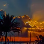 Palm Garavan فندق