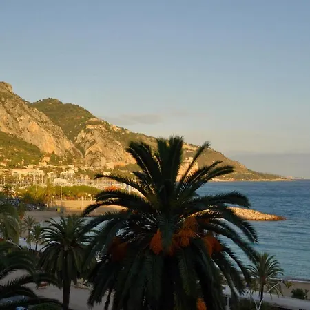 Palm Garavan