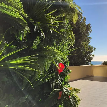 Hotel Palm Garavan 3*